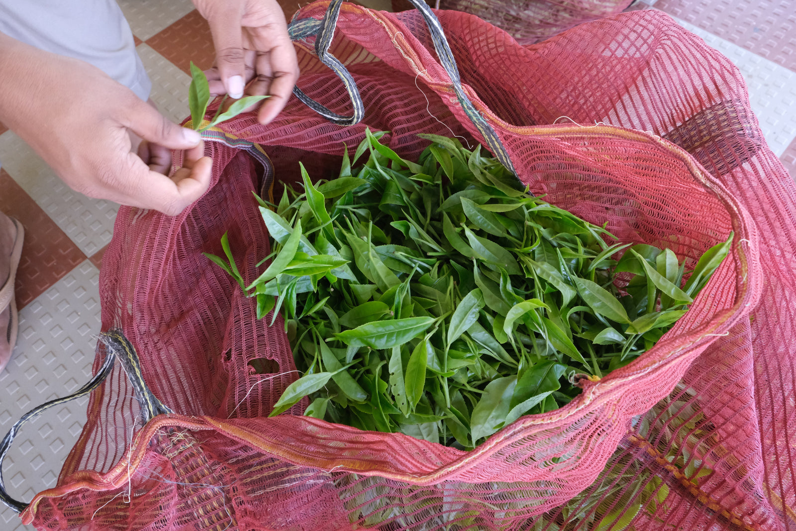 Chai vs Coffee: The Real Differences (And When to Drink Each)